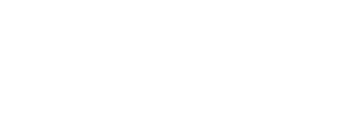 logo Ready To Gin