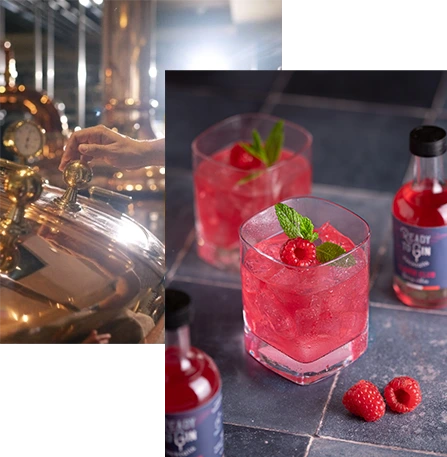 gin artigianale italiano cocktail pronti